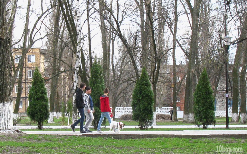 Робкая зелень