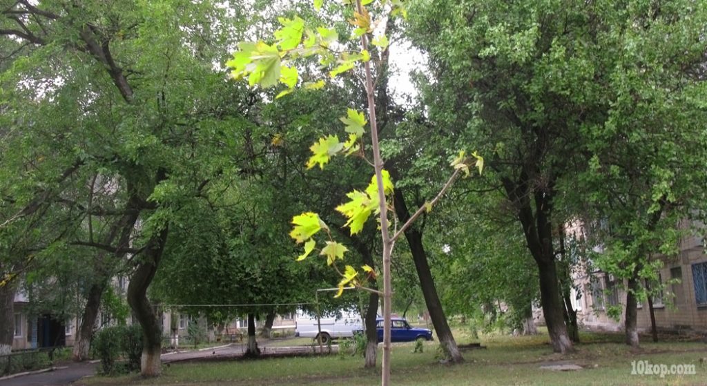Уголки города