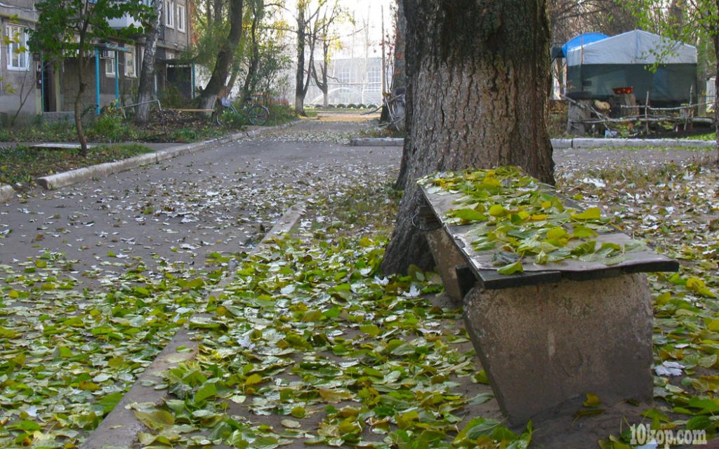 Дворы