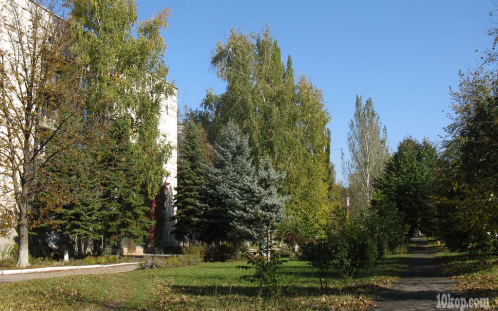 Утро