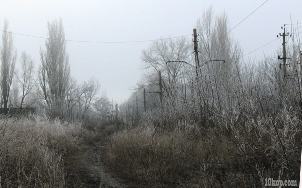 Туманные дни