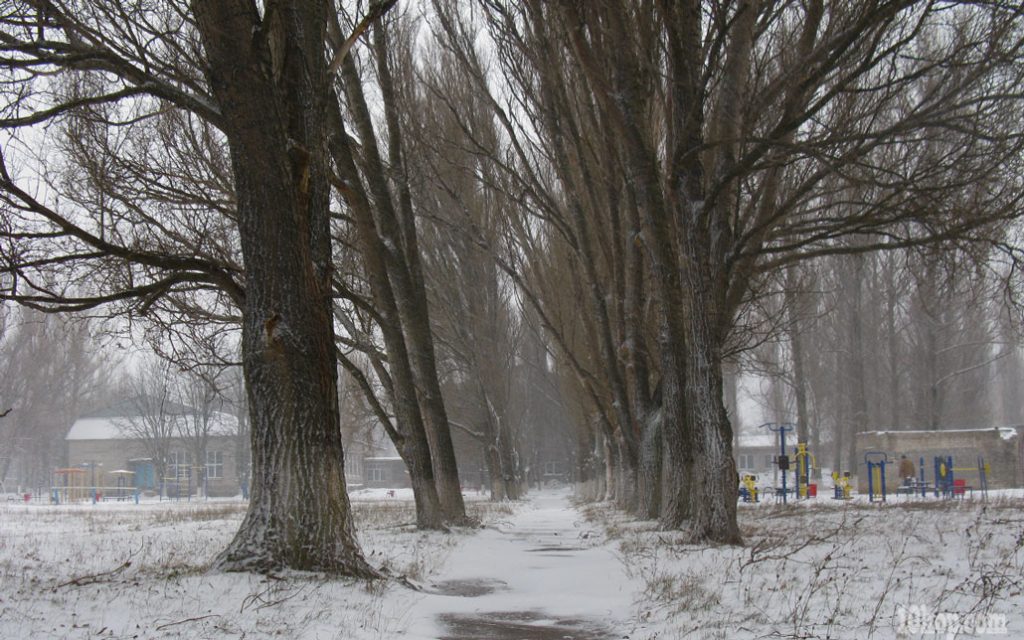 Первый снег