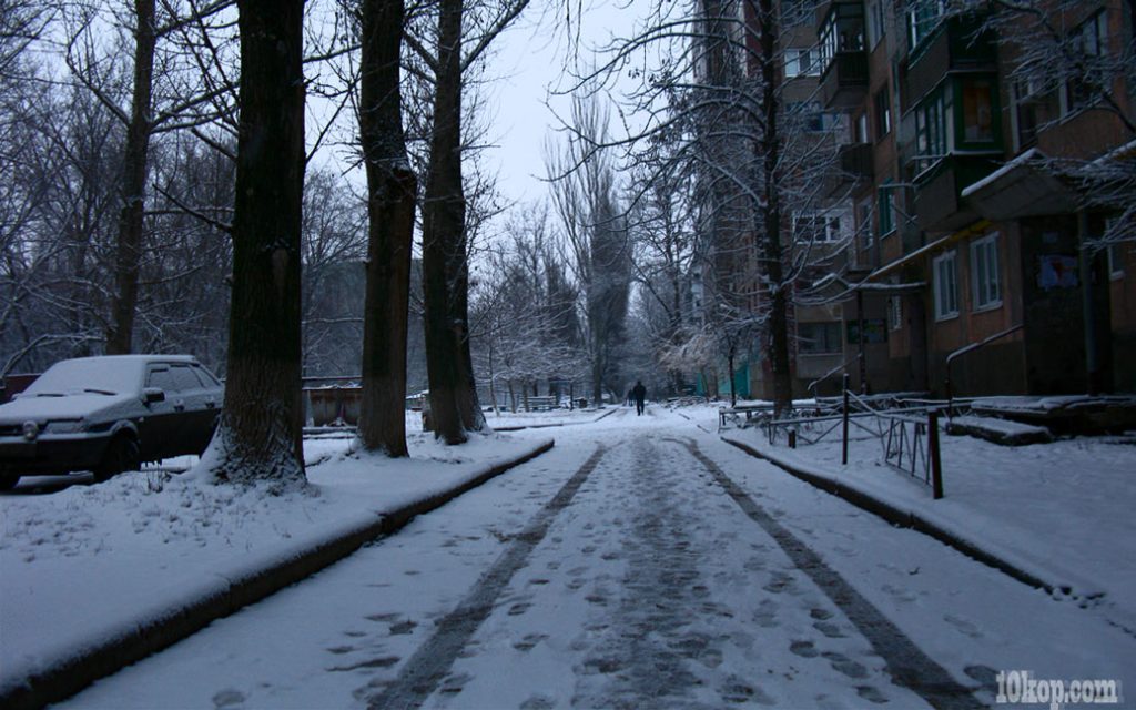 Утренние следы