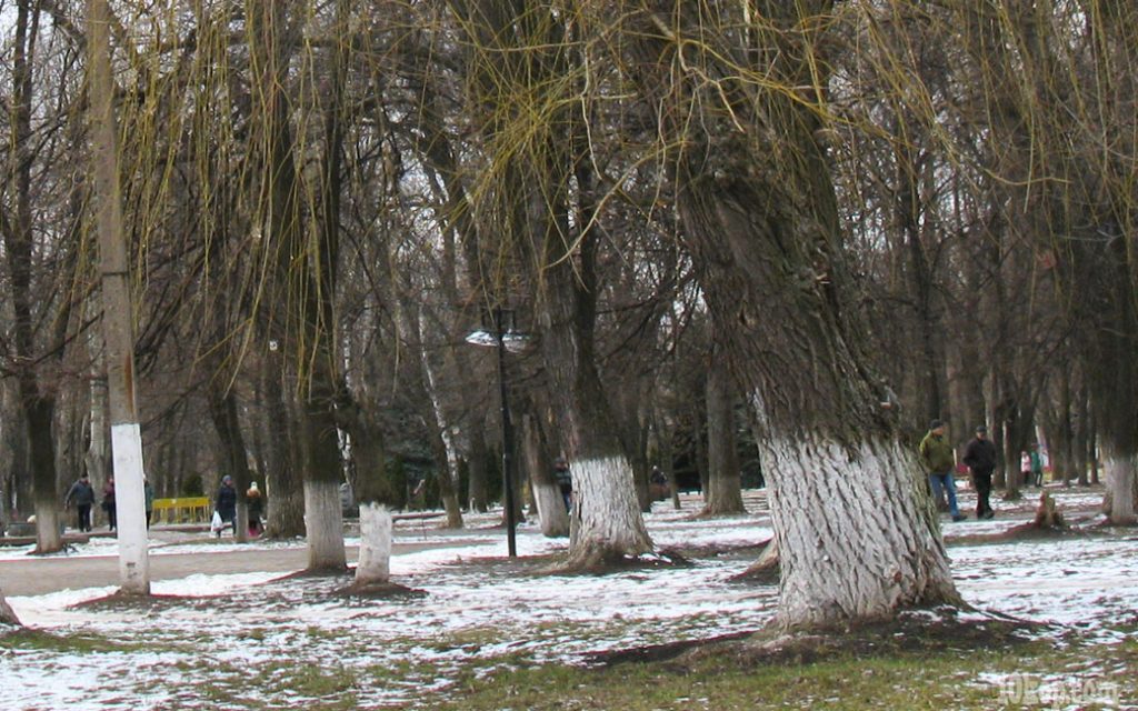 Уголки города