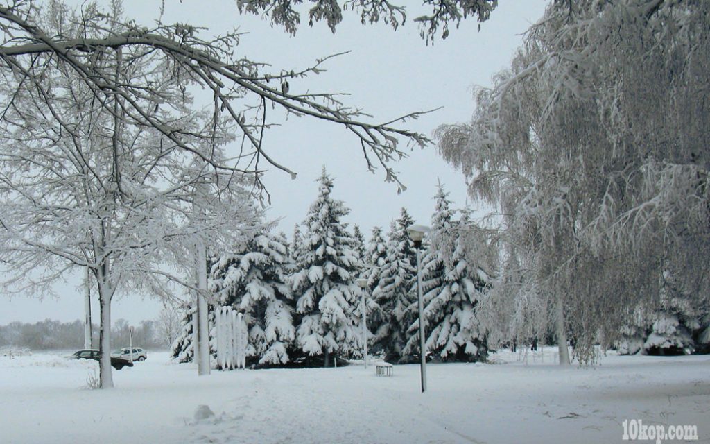 Пришла ко мне зима