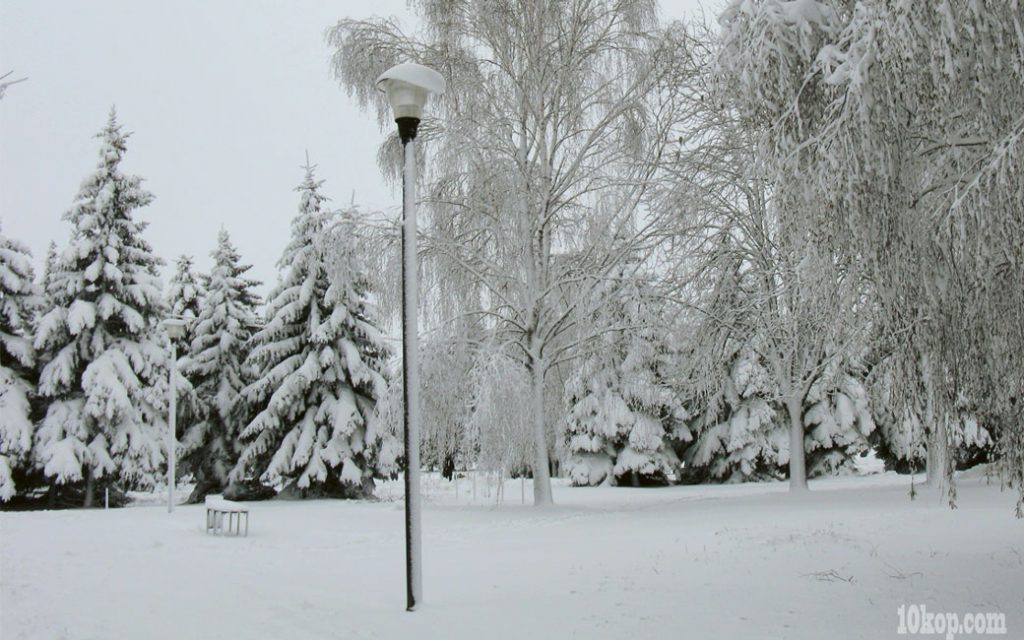 Пришла зима