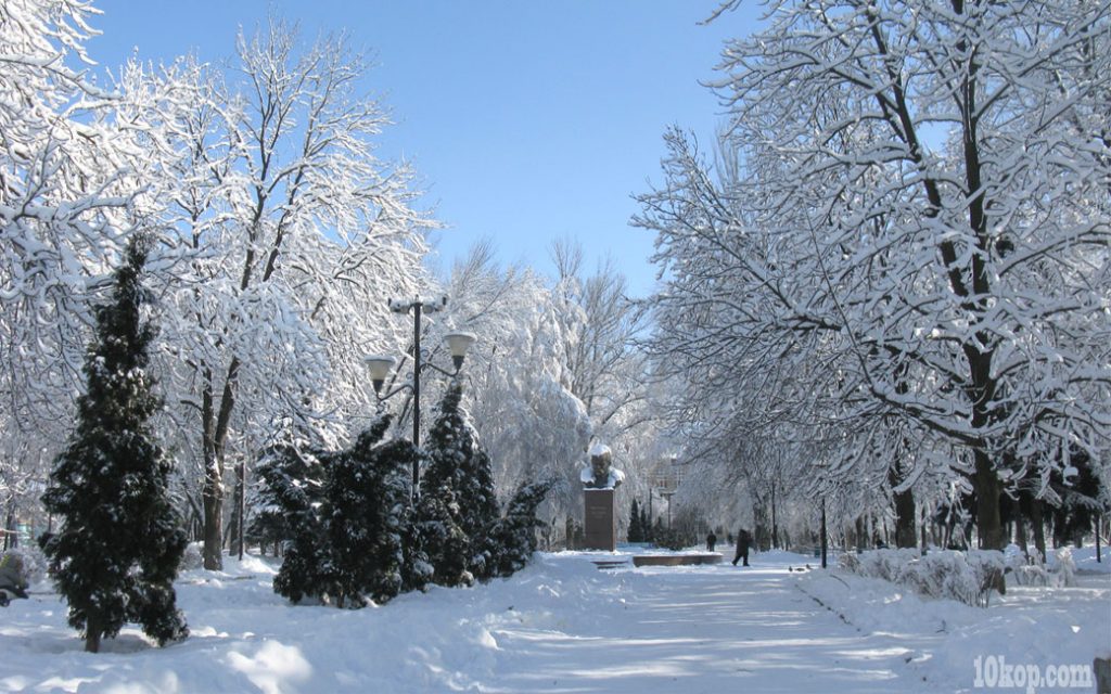 Солнечный день