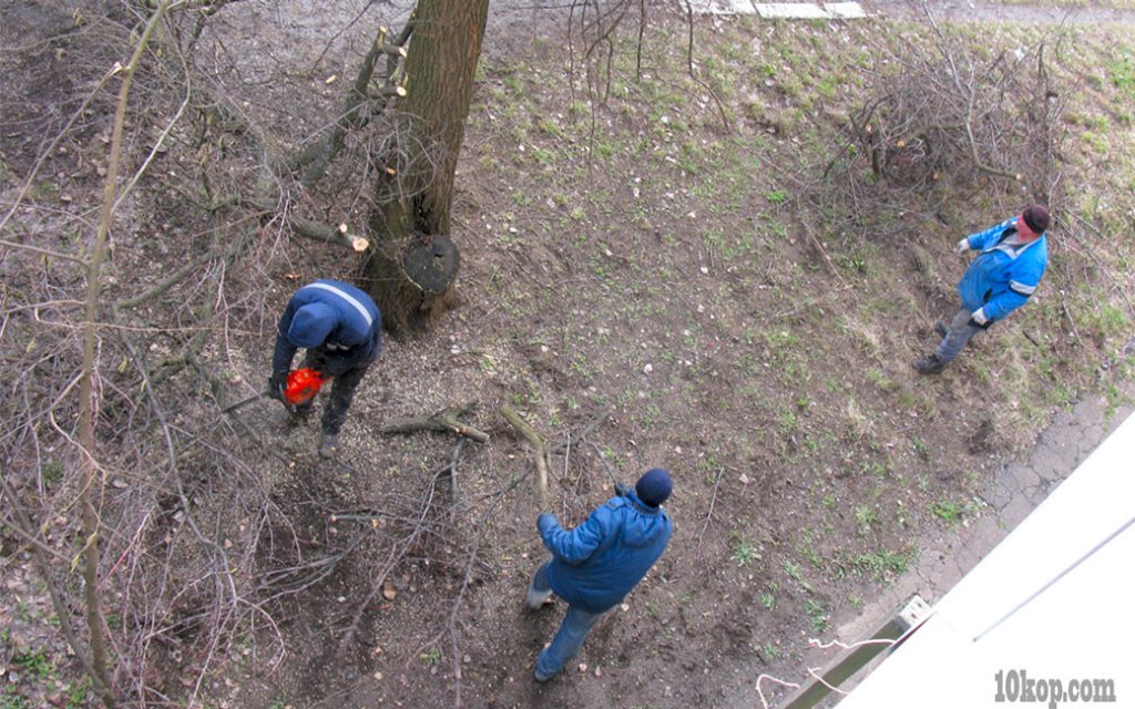 Ликвидация последствий снегопада продолжается