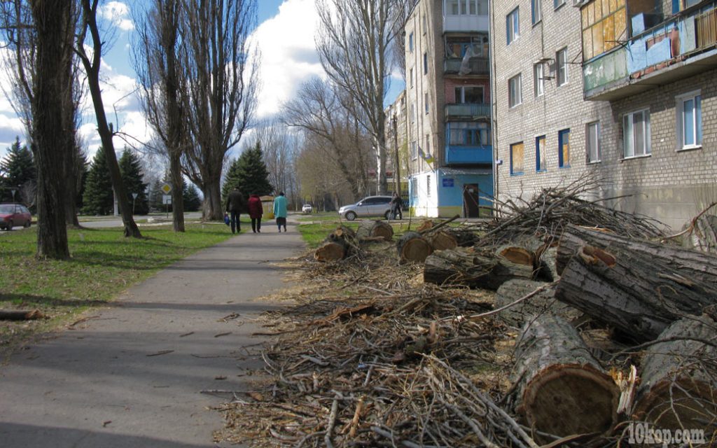 Старые деревья
