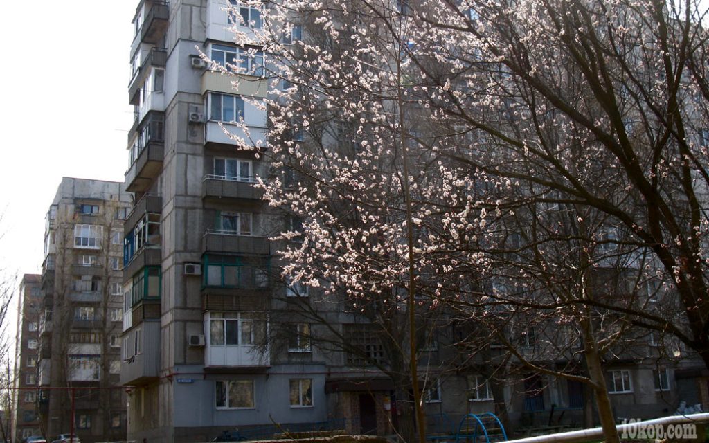 Городской абрикос