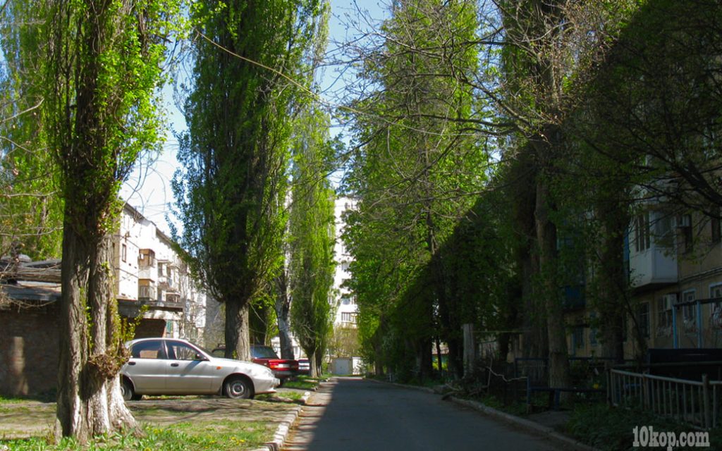 Авдеевские дворы