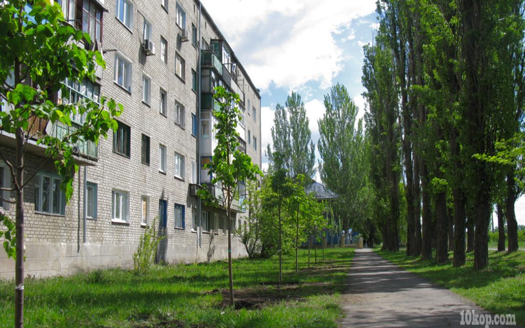 Новый вид