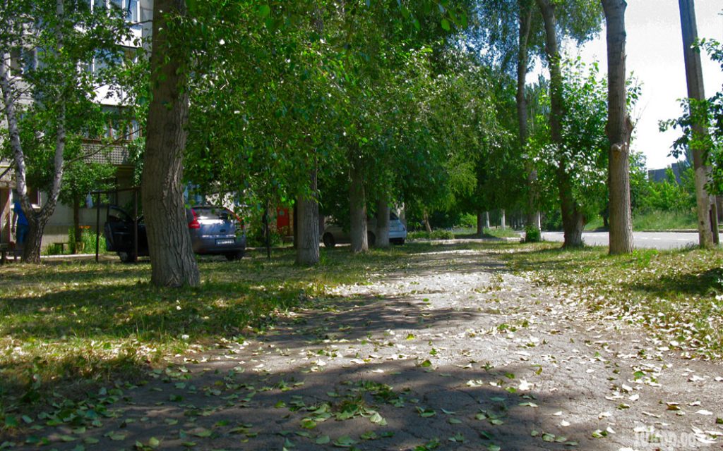 Июньский листопад