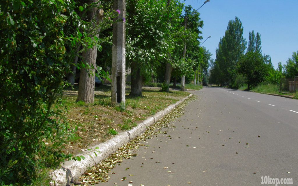 Июньский листопад