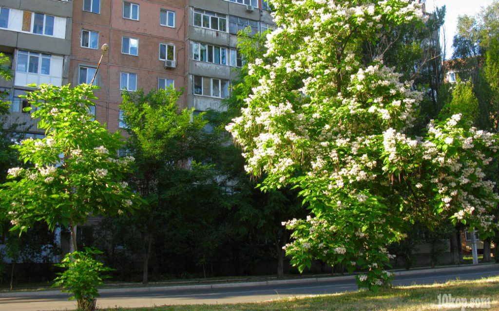 Уголки города