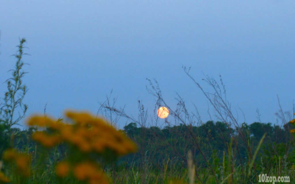 Новолуние 