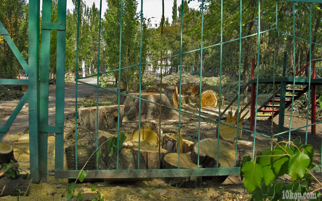 Старые деревья