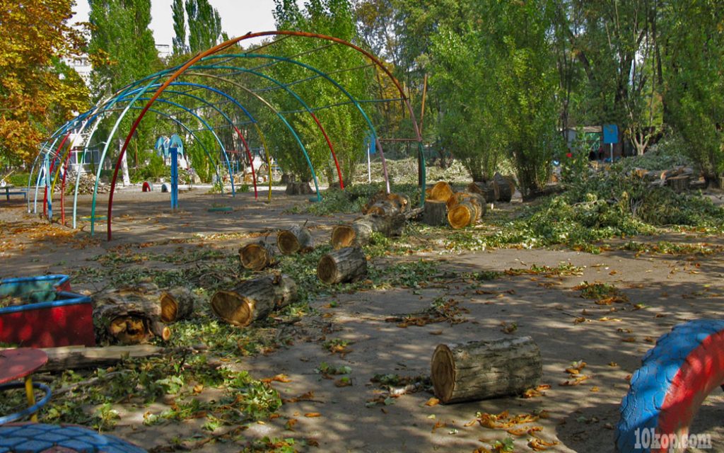 Старые деревья