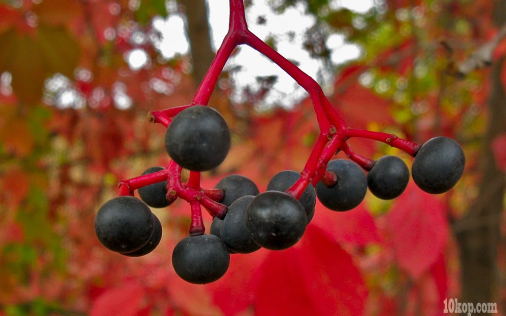Красивая осень