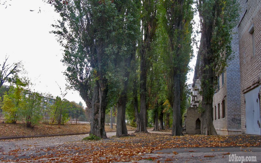 Осенний день