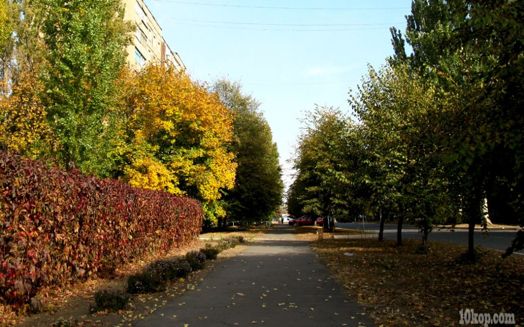 Разноцветная осень