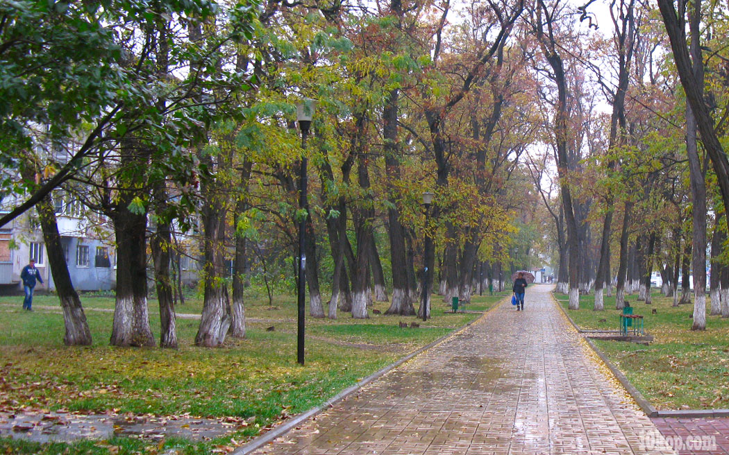 Осень заплакала