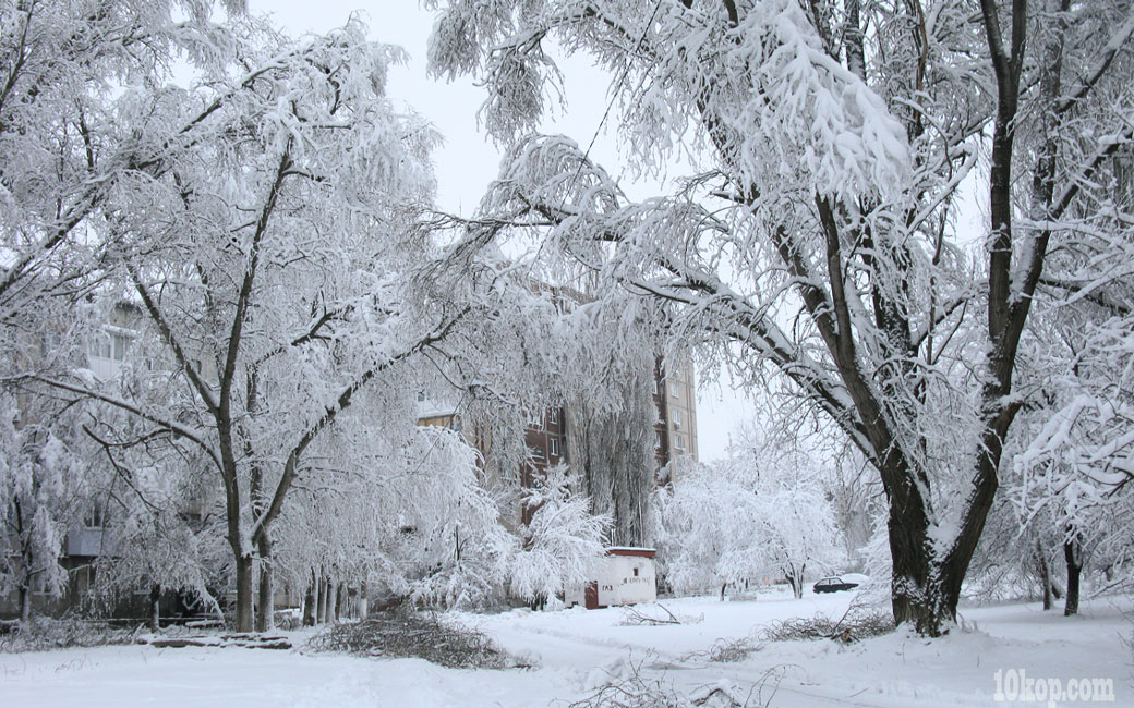 Наши заснеженные дворы