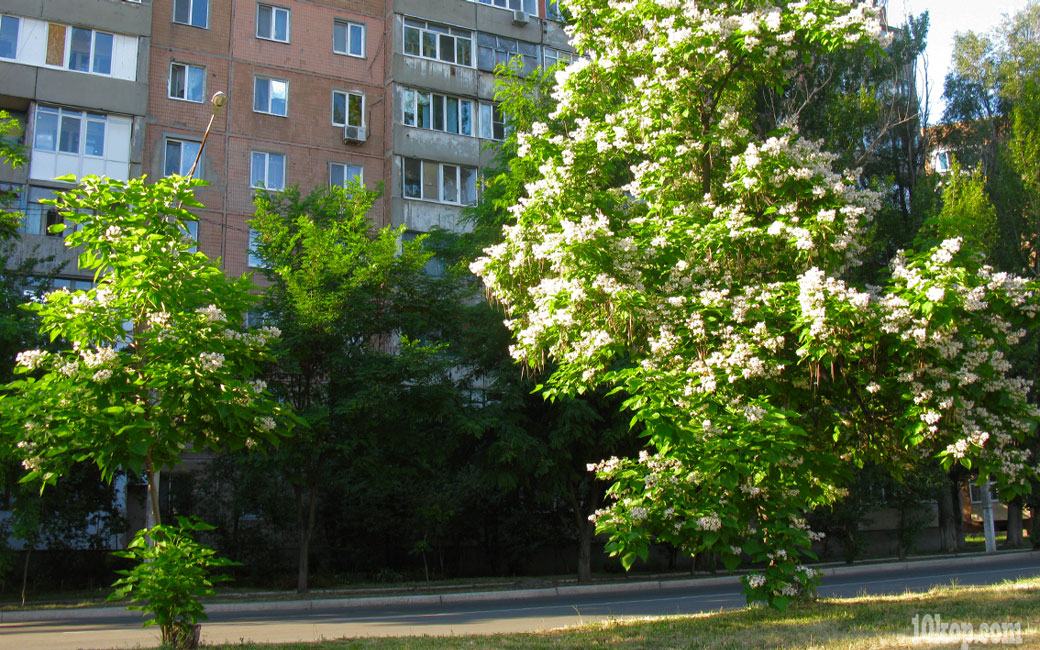 Уголки города