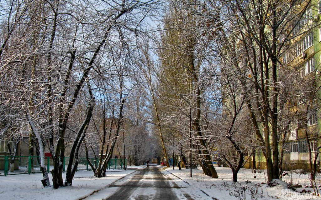 Морозный день