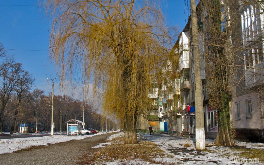 Морозный  день
