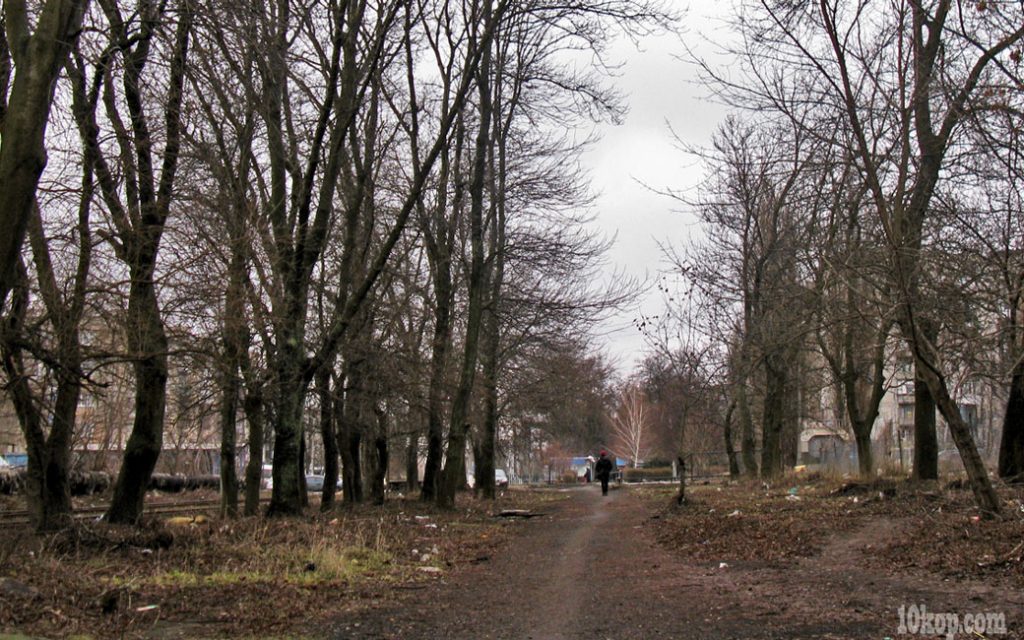 Пасмурное  утро