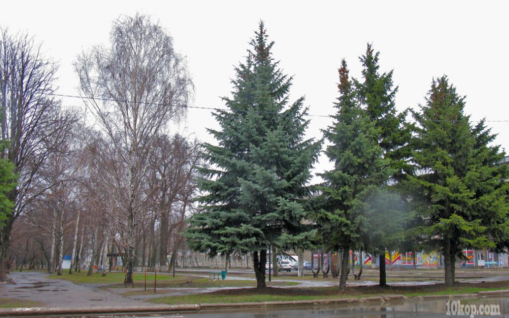 Дождливый день.  Авдеевка.