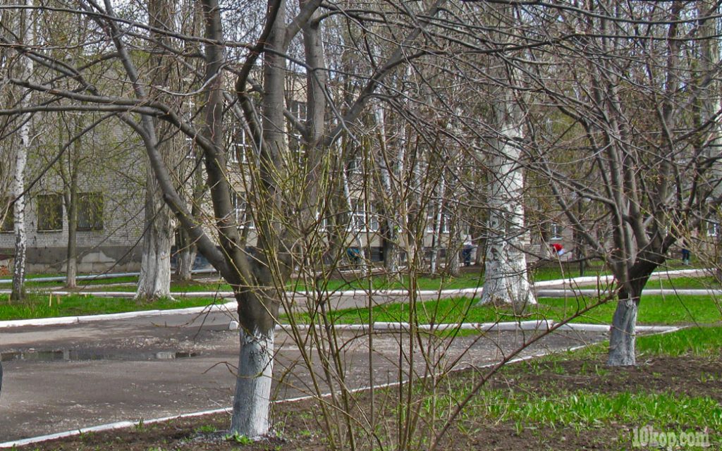Улица Коммунальная.  Авдеевка.