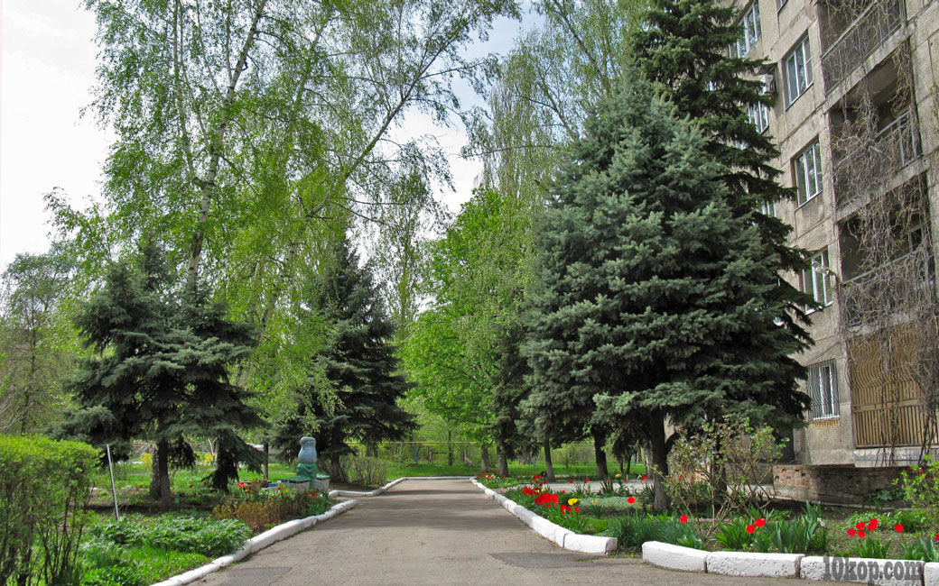 Уголки города. Авдеевка.