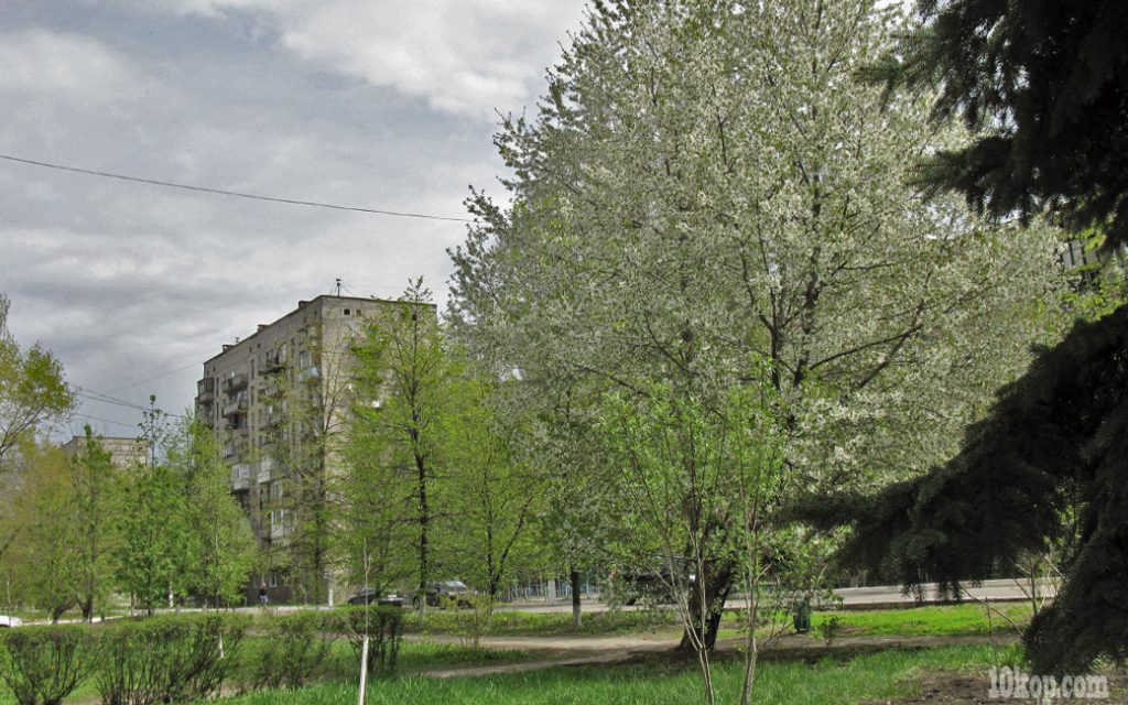 Уголки города.  Авдеевка.