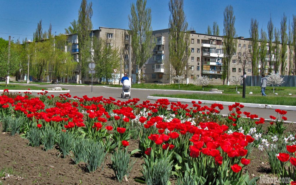 Полная площадь цветов. Авдеевка.