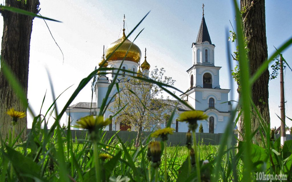 Одуванчики желтеют.  Авдеевка.