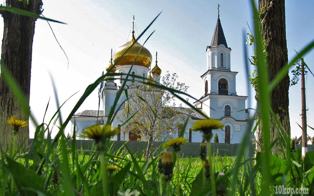 Одуванчики желтеют. Авдеевка.