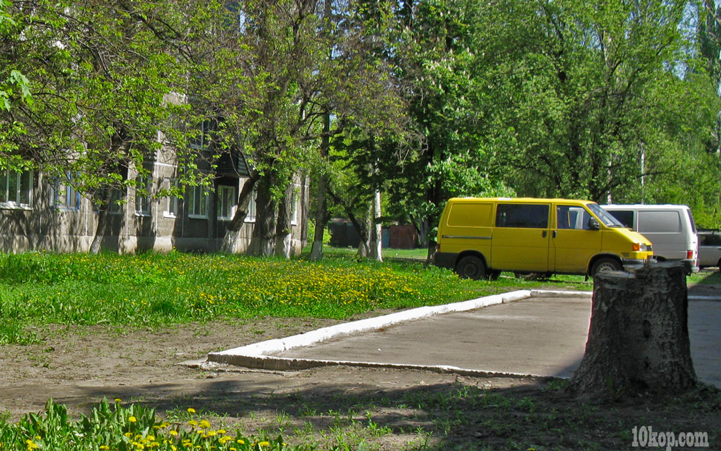 Одуванчики желтеют. Авдеевка.