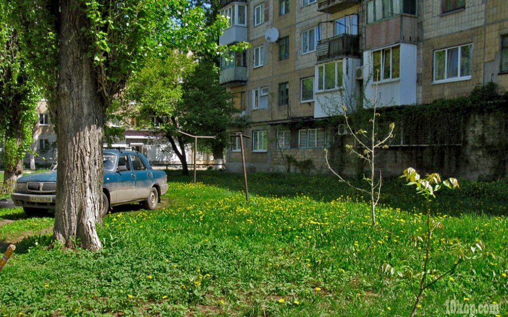 Одуванчики желтеют.  Авдеевка.