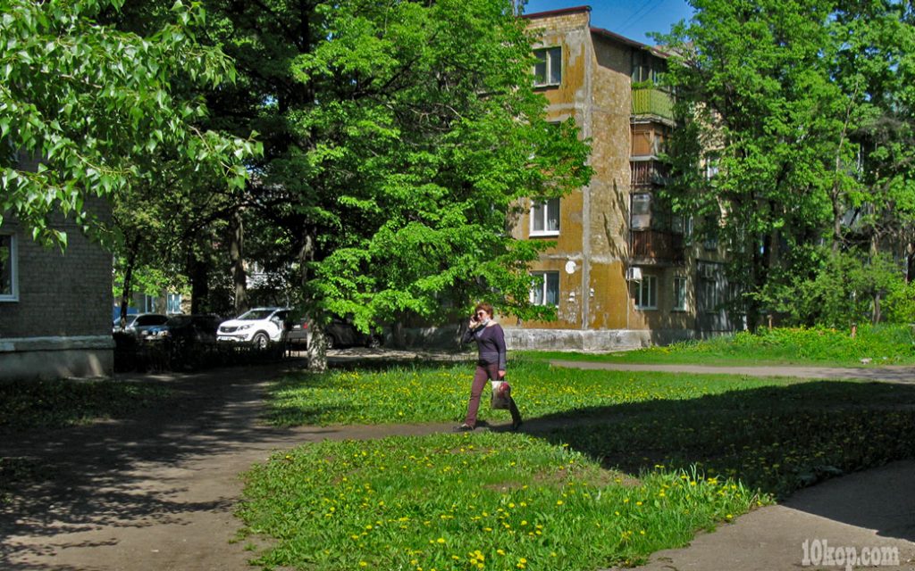 Одуванчики желтеют. Авдеевка.