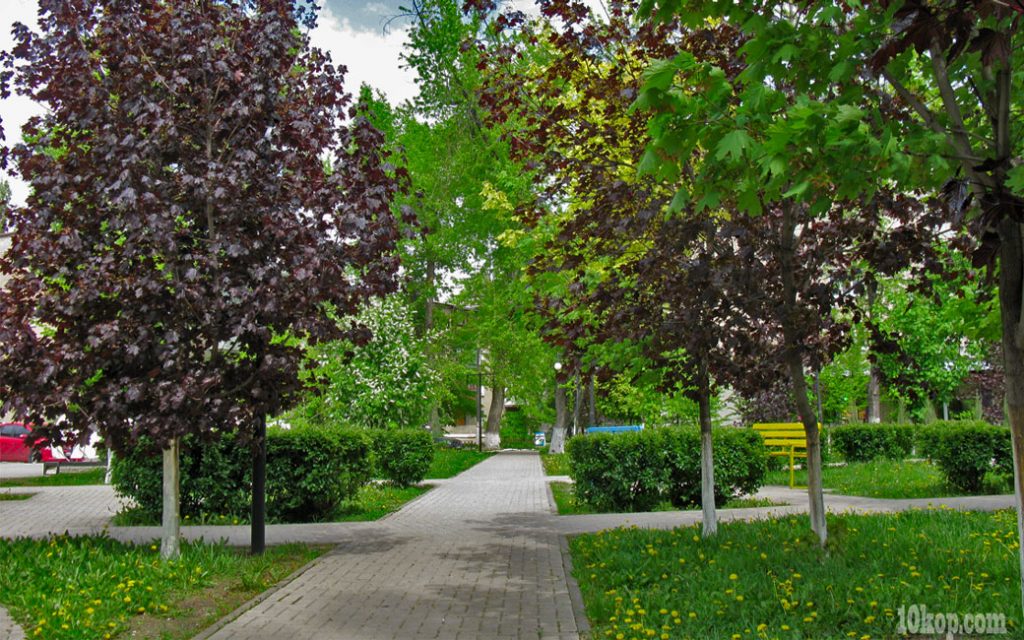 Парк на Гагарина.   Авдеевка.