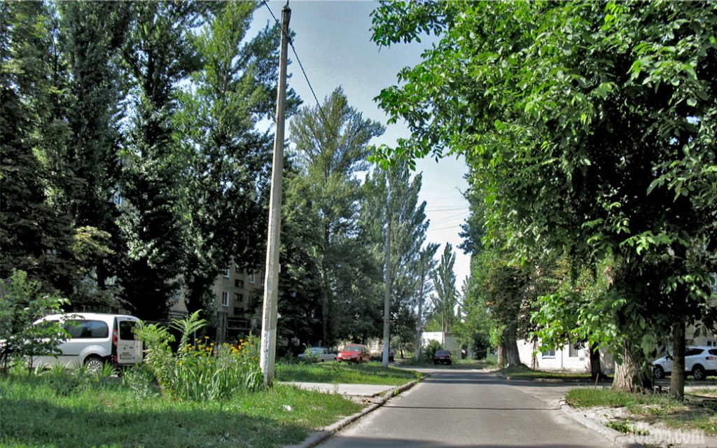 Улица Менделеева.  Авдеевка.