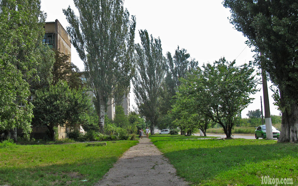 Улица Воробьёыв. Авдеевка.