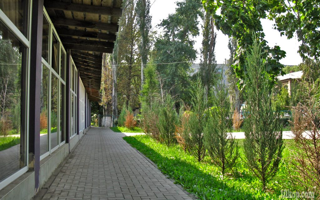 Парк на Гагарина. Авдеевка.
