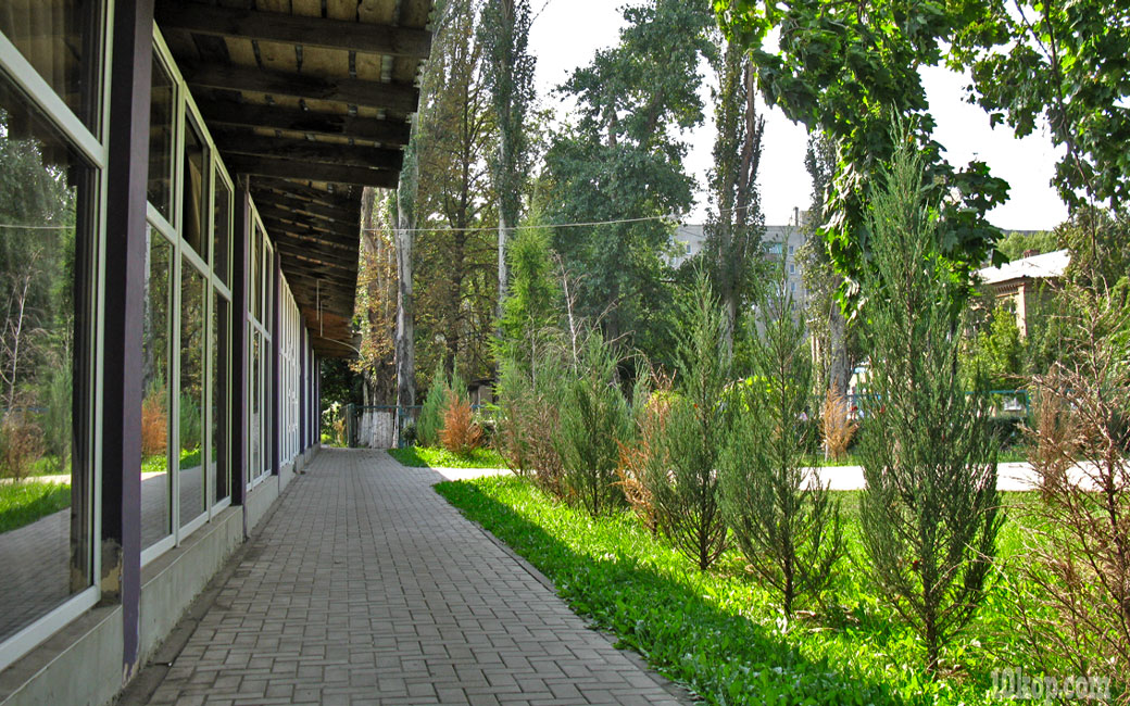 Парк на Гагарина. Авдеевка.
