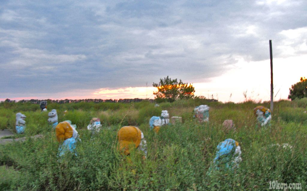 Городок.  Авдеевка.
