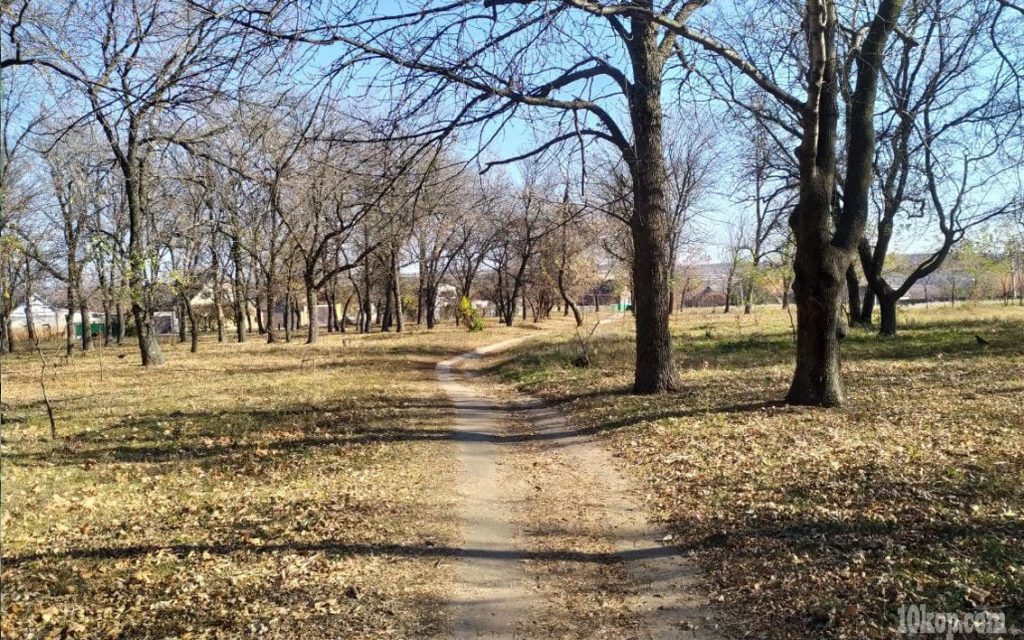 Тропинка в парке