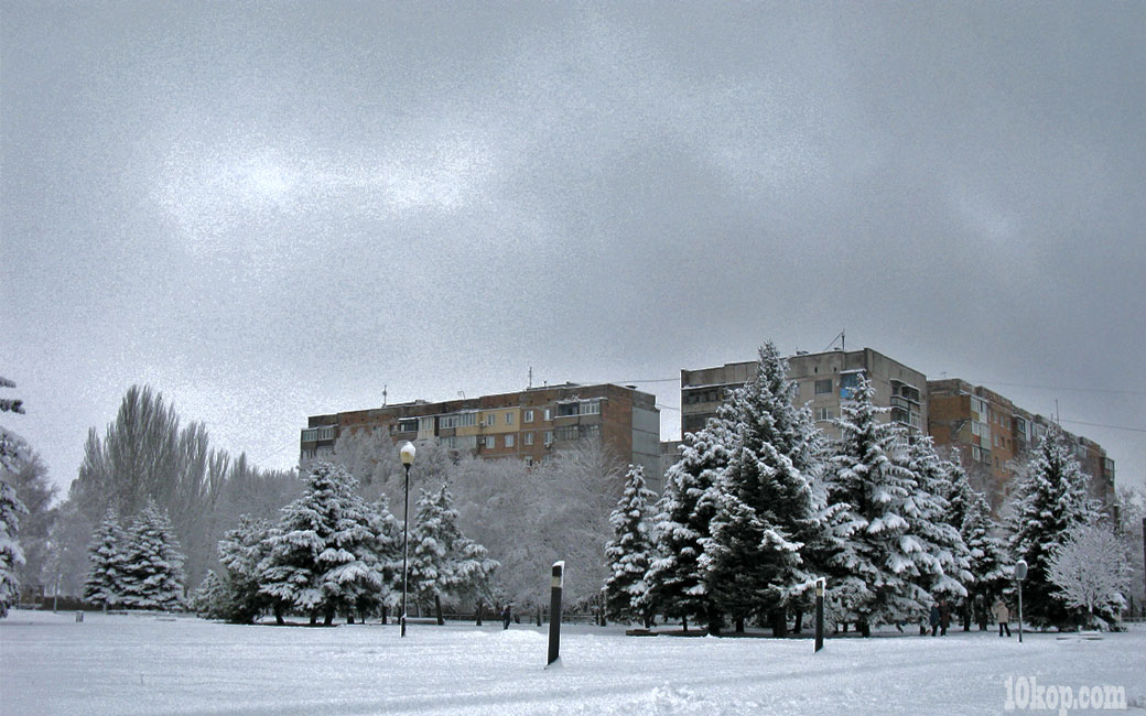 Ели в снегу
