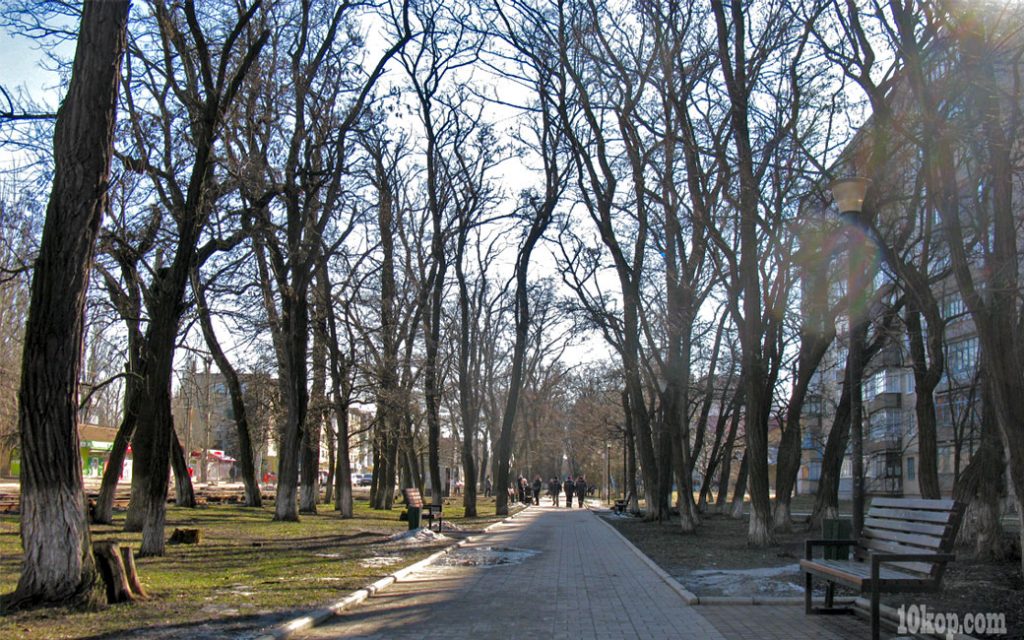Авдеевка. Аллея белых акаций.